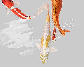 《空之轨迹 the 1st》 实体版首批购买特典将追加附赠原创 DLC 服装！